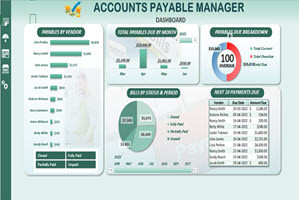 Accounts Payable Manager